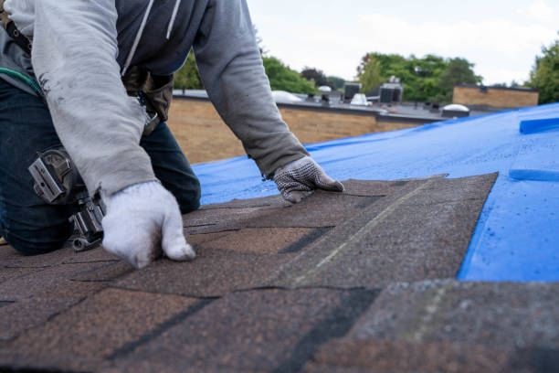 Professional Roofing Contractor in Florence Graham, CA